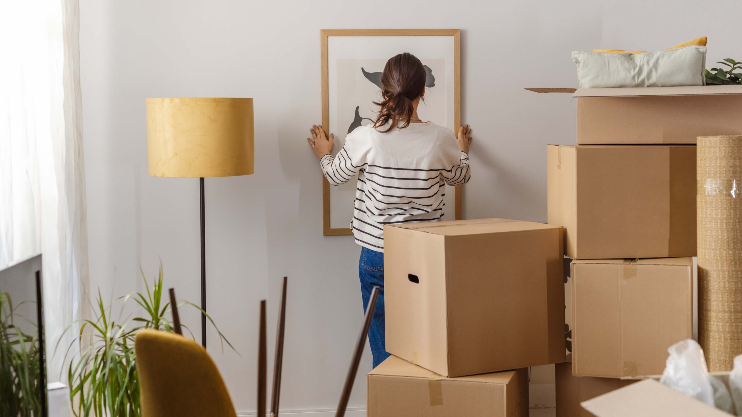 Essential Home Decor Items Every New Homeowner Needs | Must-Have Tips