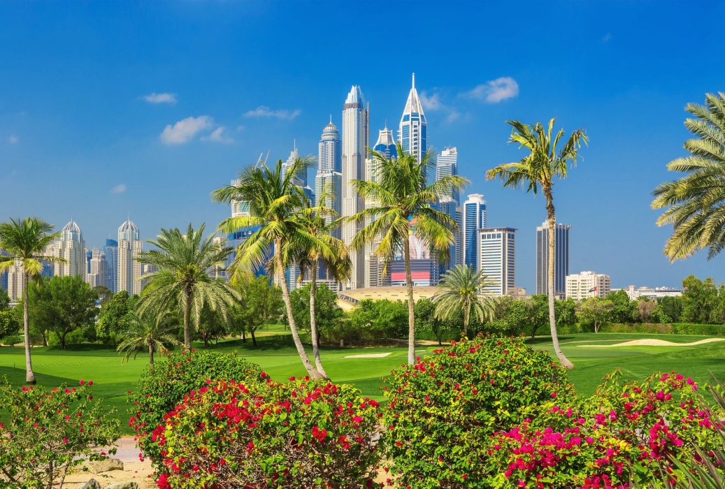 The Ascendancy of Sustainable and Green Living